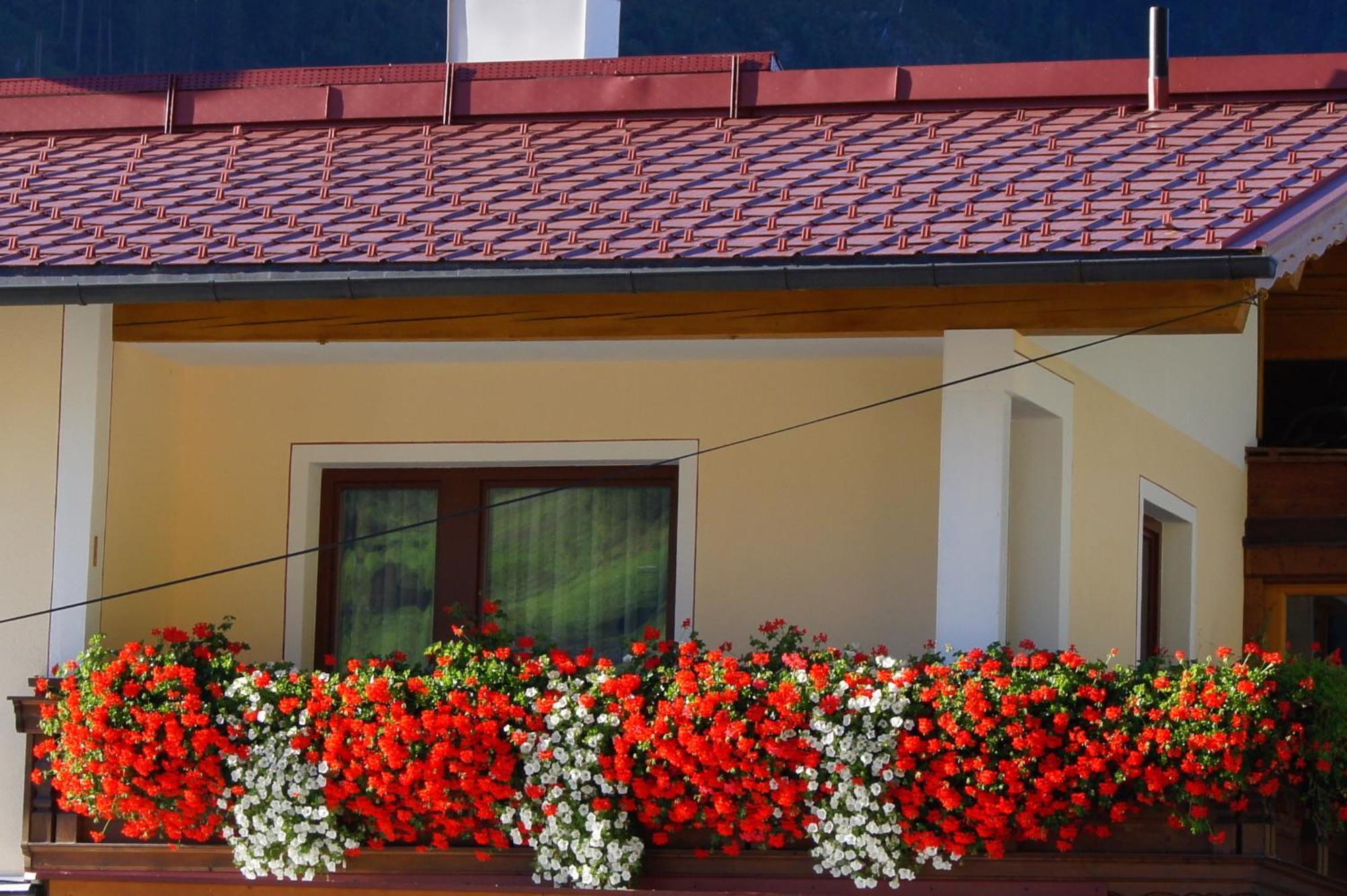 Kathrin Apartments - Kapplerhof 卡普尔 外观 照片